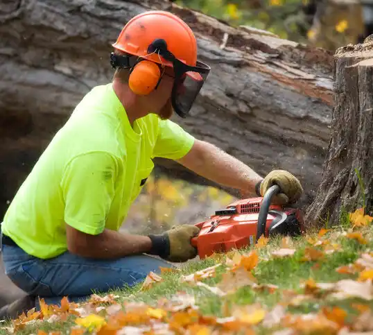 tree services Reisterstown